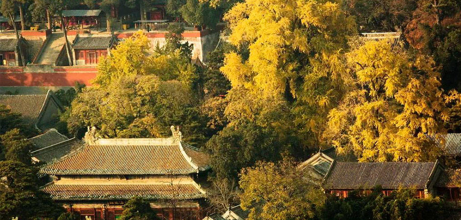 這個秋天，跟隨文學名家同賞京城秋色