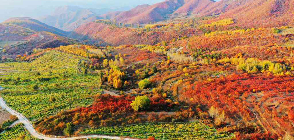 自駕109國道，賞沿途油畫般的秋日美景