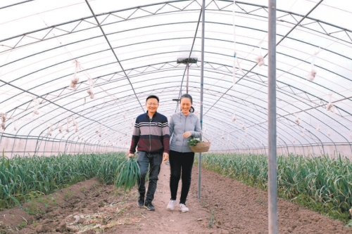 一對博士夫婦創辦分享收獲農場：充滿治愈的新農人樂園