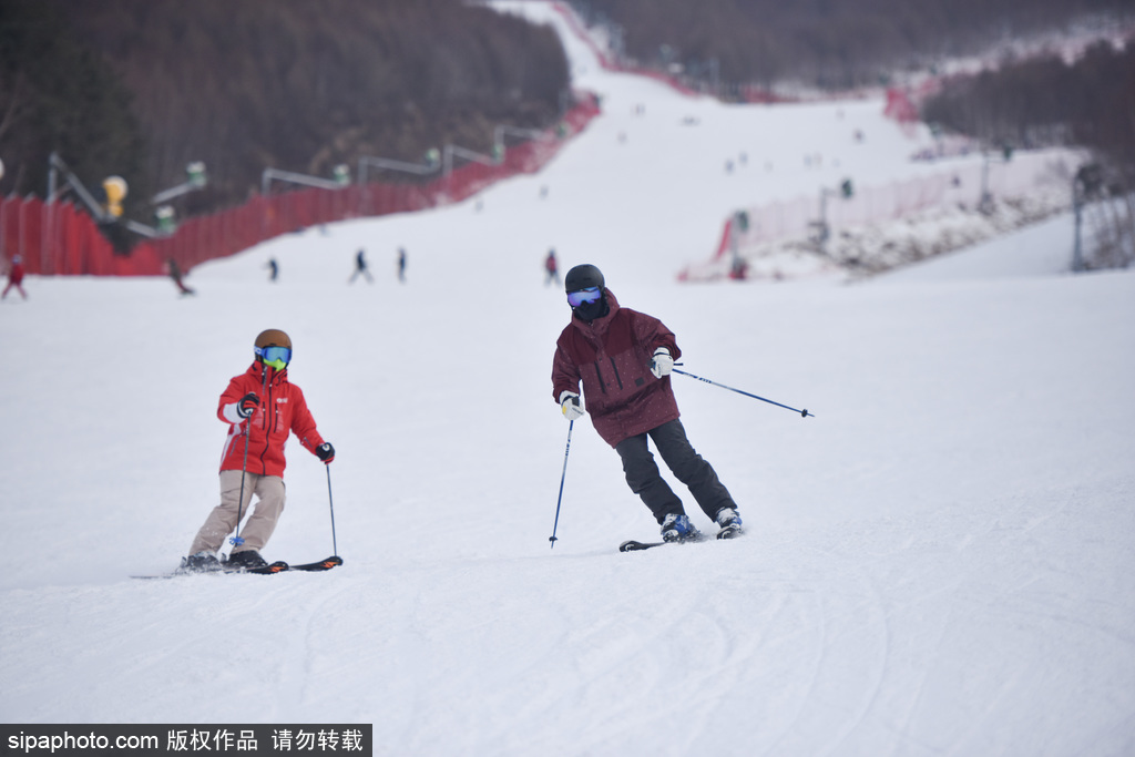 加快建設京張體育文旅帶 打造北方冰雪運動引領區