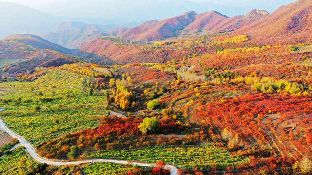 自駕109國道，賞沿途油畫般的秋日美景