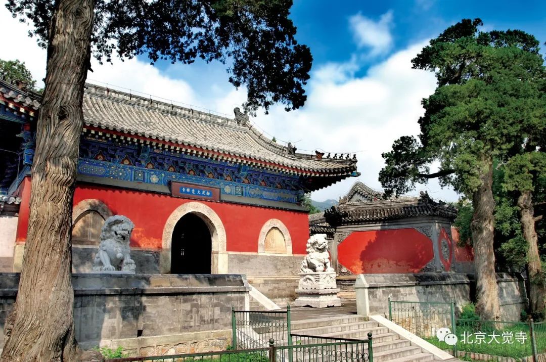 大覺寺1月6日恢復開放