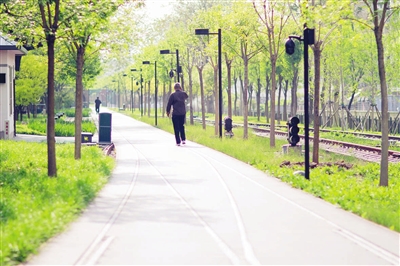 聚焦天津生态绿色发展：城市绿道