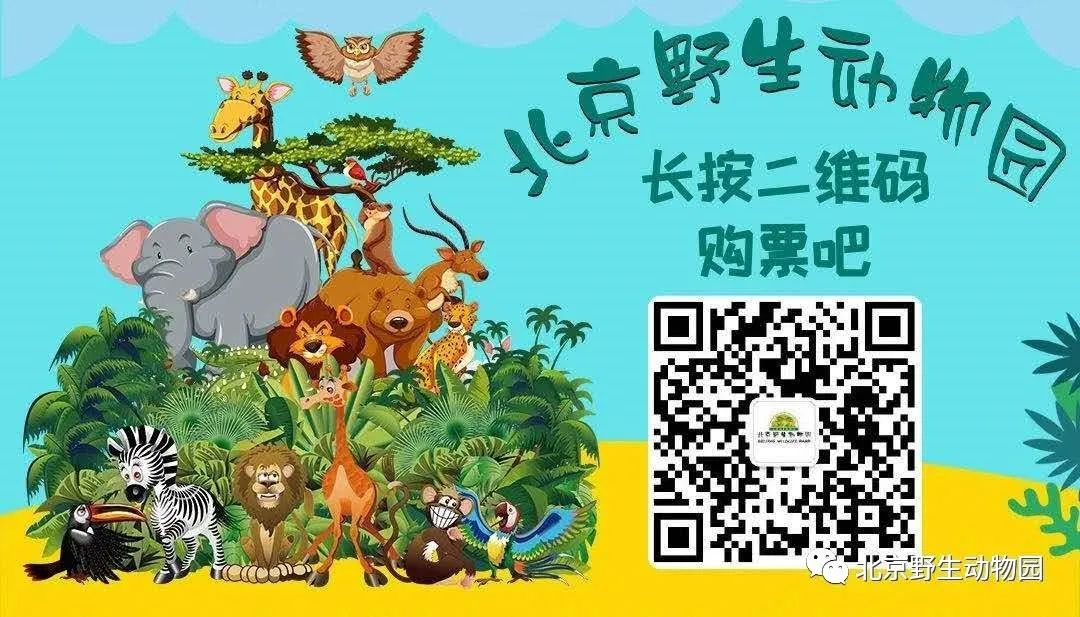 北京野生动物园5月22日至28日临时闭园